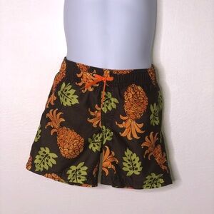 Gymboree toddler boys brown pineapple swim trunks